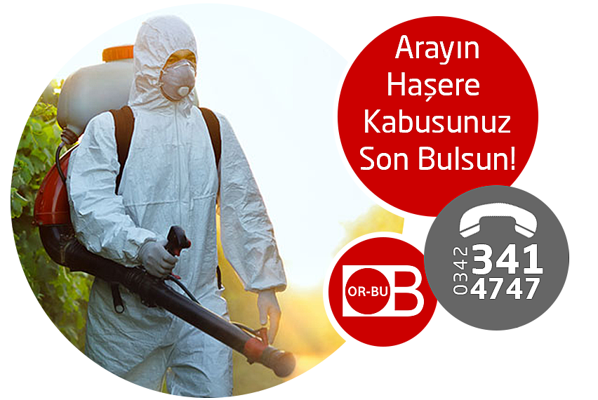 Arayn Haere Kabusunuz Son Bulsun